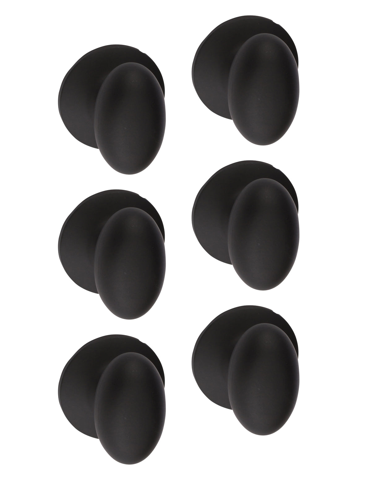 AR100-6 FBL