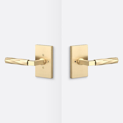 Sure-Loc LV102-GRIP-VT Vertex Grip Privacy Door Lever with Levanto Rosette.