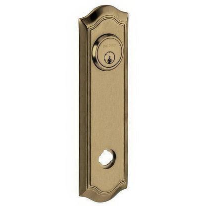 Baldwin R029.IPS Individual 10.14" Height Bethpage Passage Rosette.